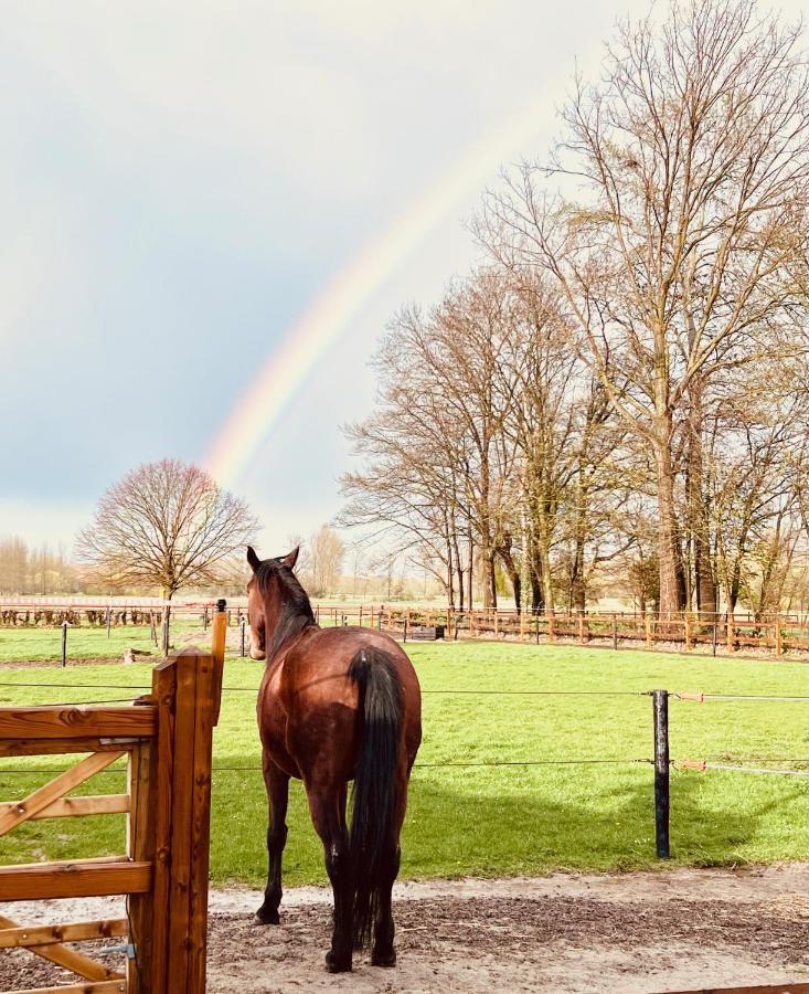 Ontwaken Tussen De Paarden Bed and Breakfast Zoutleeuw Exteriör bild