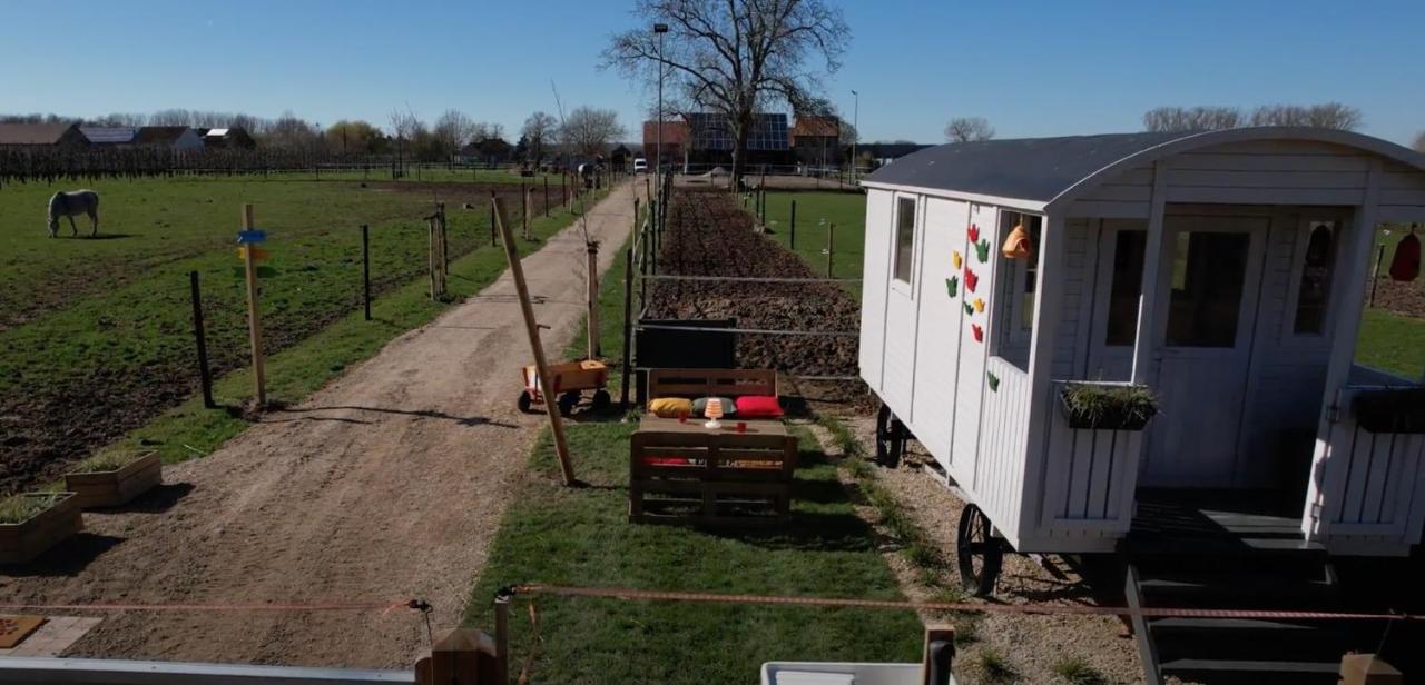 Ontwaken Tussen De Paarden Bed and Breakfast Zoutleeuw Exteriör bild