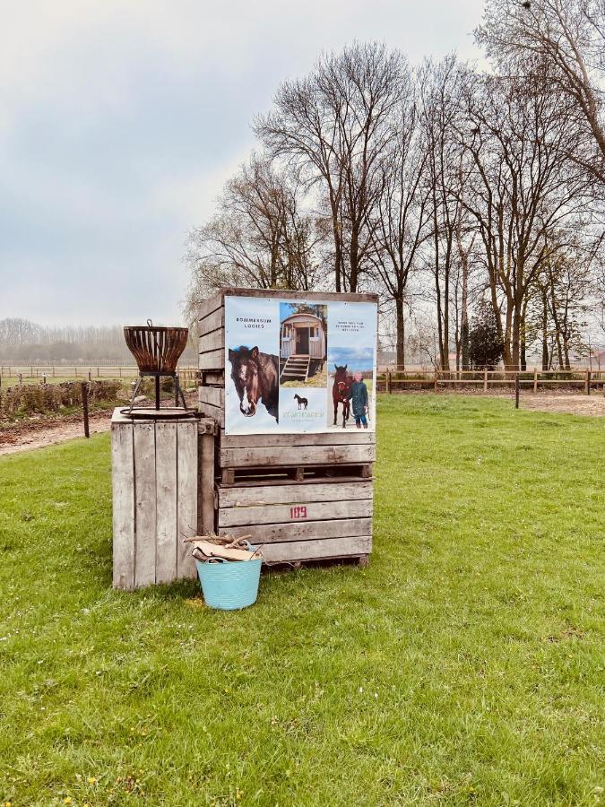 Ontwaken Tussen De Paarden Bed and Breakfast Zoutleeuw Exteriör bild